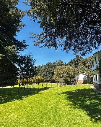Jardín con árbol maduro y casa de campo