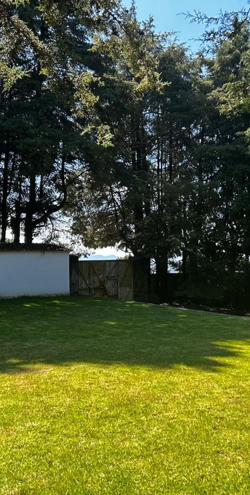 Bosque de Villa Lorena