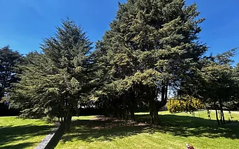Jardín amplio y arbolado de Villa Lorena