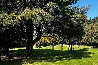 Jardín con árboles y áreas verdes de Villa Lorena