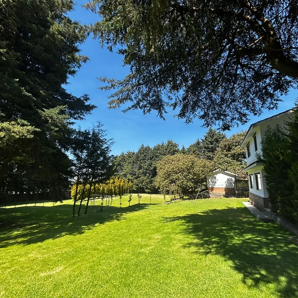 Vista exterior de Villa Lorena con jardín y pinos