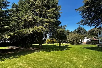 Área verde abierta con cabaña y bosque