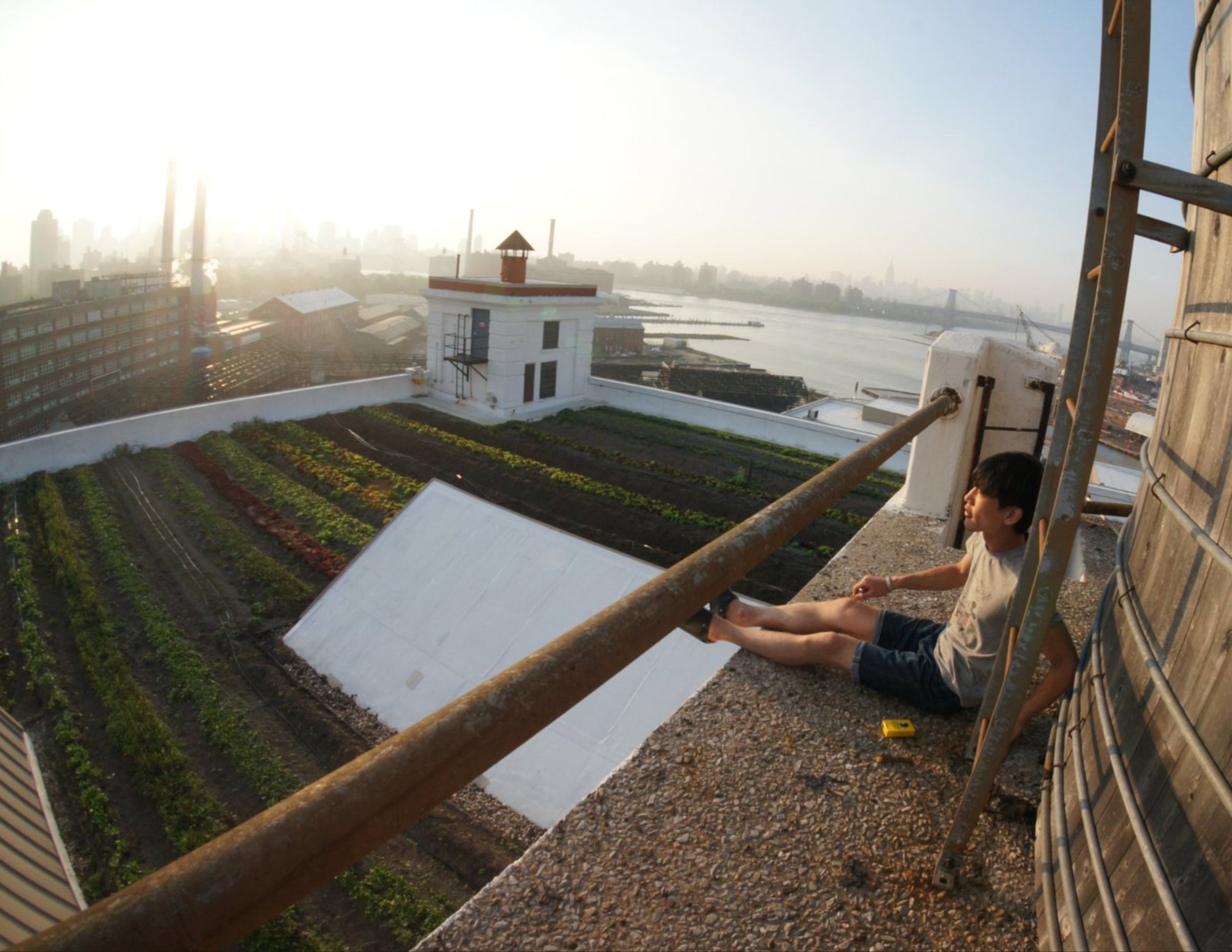 Brooklyn Grange