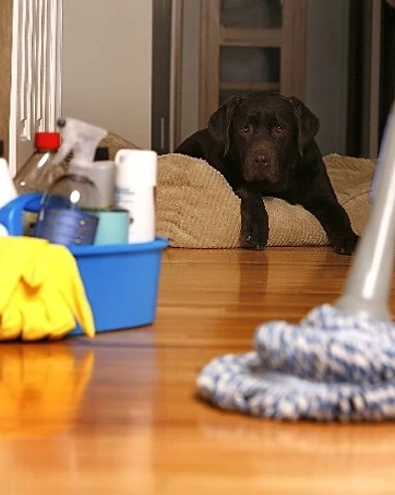 Residential Cleaning