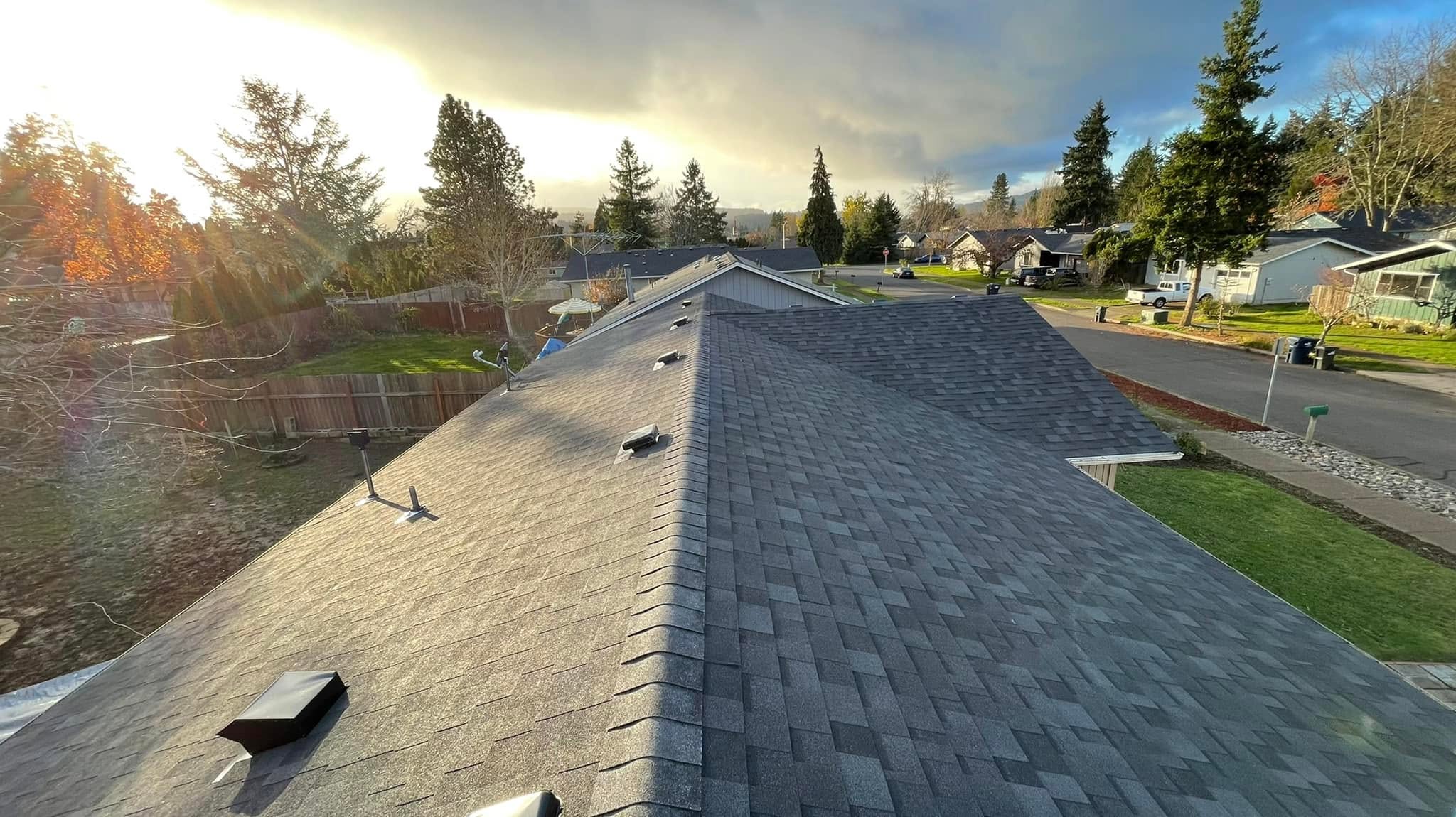 Roof Inspection