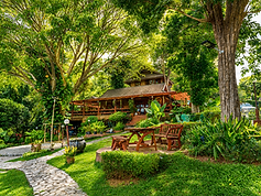 Garden Retreat Space A peaceful garden setting with mature trees, stone pathways, and quiet seating areas for rest and connection with nature.