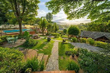 Green Garden & Walking Track