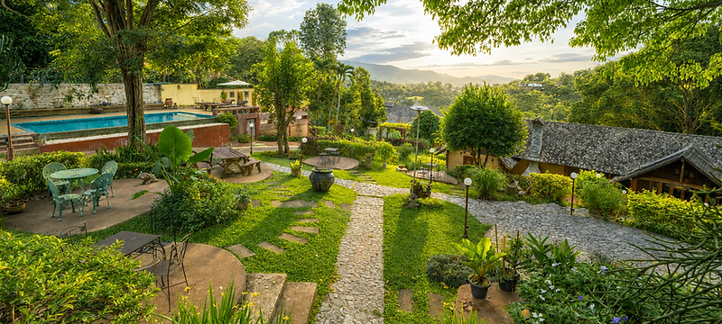 Green Garden & Walking Track