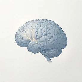 AVC — vasos cerebrais e cérebro