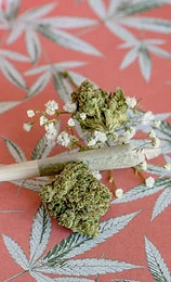 Premium pre-rolls