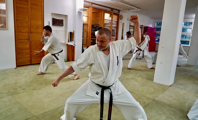 Karate-Stile – Shinzen Dojo Berlin