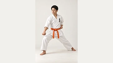 Gedan-Barai (in Zenkutsu Dachi)