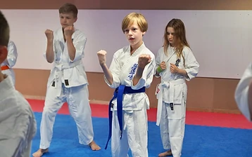 Shinzen Dojo Steglitz