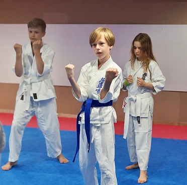 Shinzen Dojo Berlin-Steglitz 1 – Shinzen Dojo Berlin