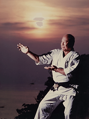 Masutatsu Oyama in Kampfhaltung bei Sonnenuntergang