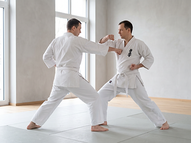 Kyokushin Kumite training in Berlin: controlled attack with a partner