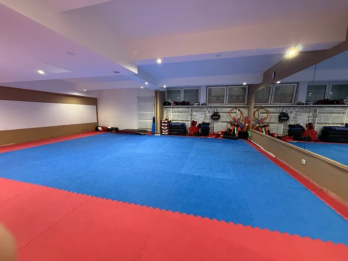 Shinzen Dojo Berlin