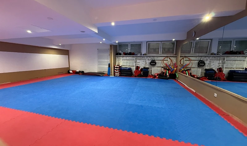 Dein Trainingsplan – Shinzen Dojo Berlin