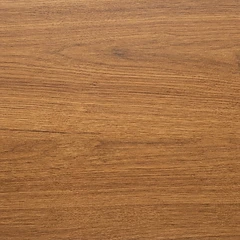Plank