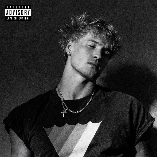 N.O.W. — ZSZN album artwork