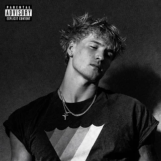 ZSZN release artwork