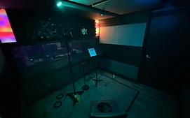 Vocal booth with acoustic foam panels and condenser mic