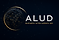 ALUD Business Intelligence 360