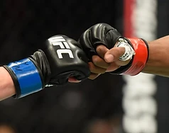 UFC gloves fist bump