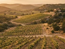 Bell Springs Winery & Brewery