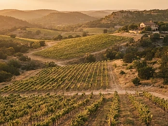 Hill Country Wine Trail