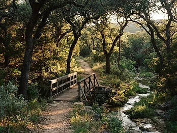 Charro Ranch Park