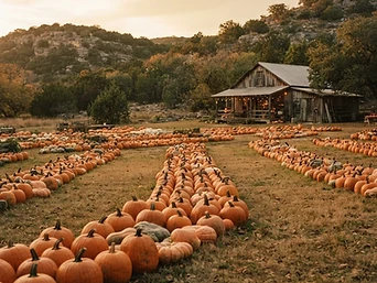 Dripping Springs Pumpkin Festival