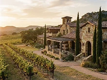 Duchman Family Winery