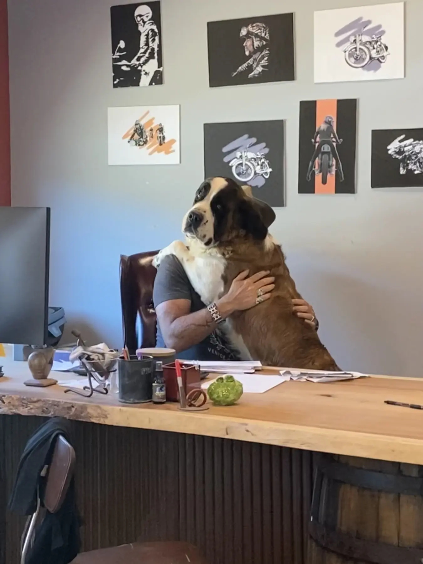 An office dog at a desk inside the Apel Design studio