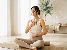 Somatic Embodiment & Regulation