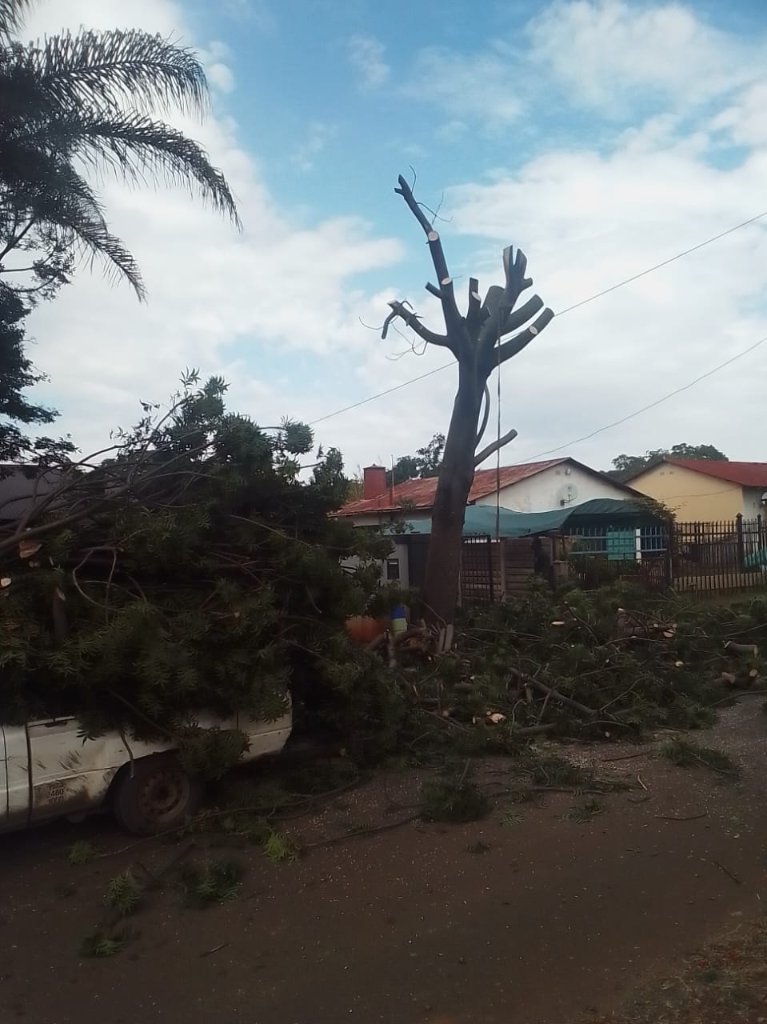 Land Clearing