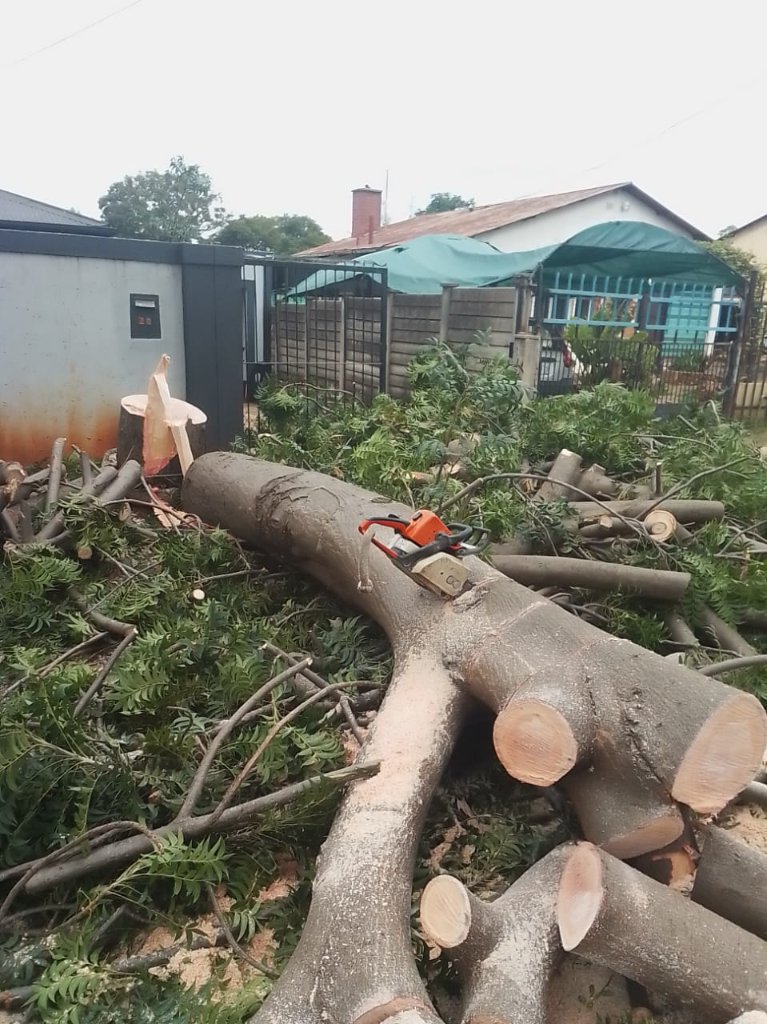 Tree Felling & Removal
