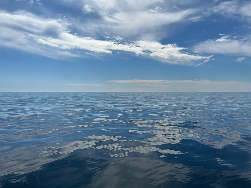 Fishing Adventure on Georgia's Artificial Reefs