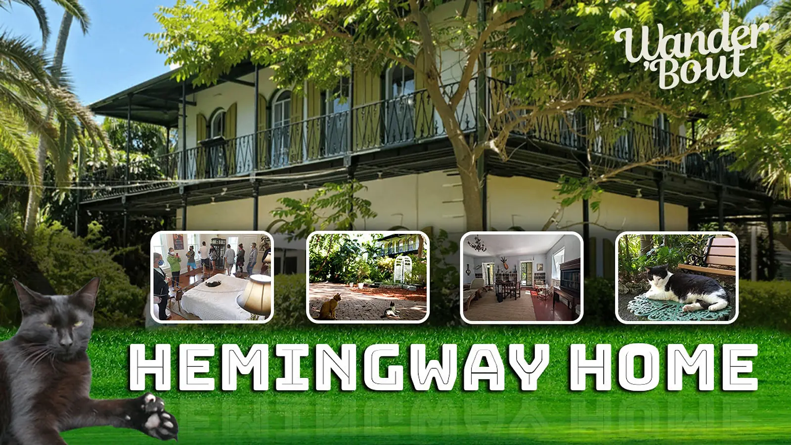 Cat Tales and Urinal Fountains: A Family Adventure at Hemingway's Key West Hideaway