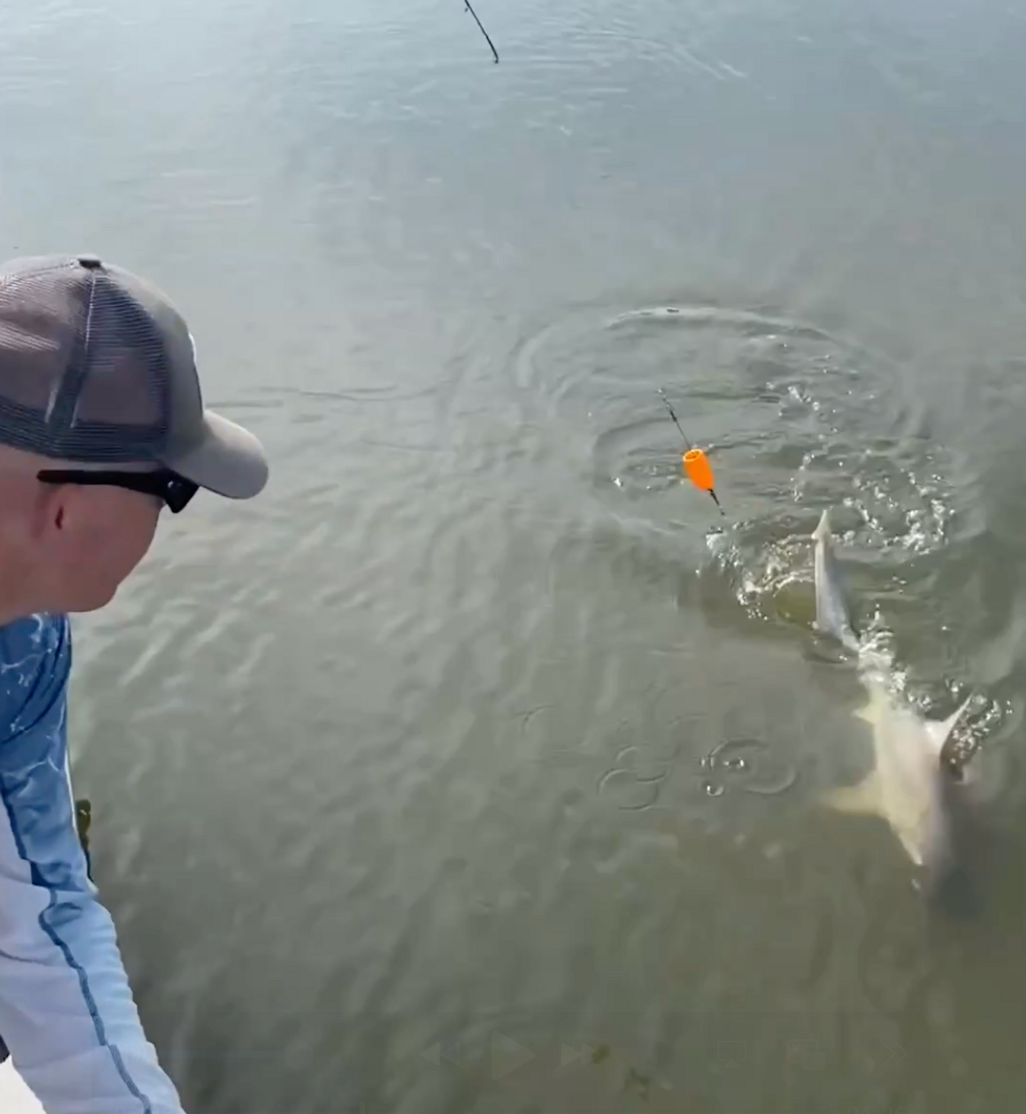 Catching Sharks in Savannah: A Family Fishing Adventure gallery image 1