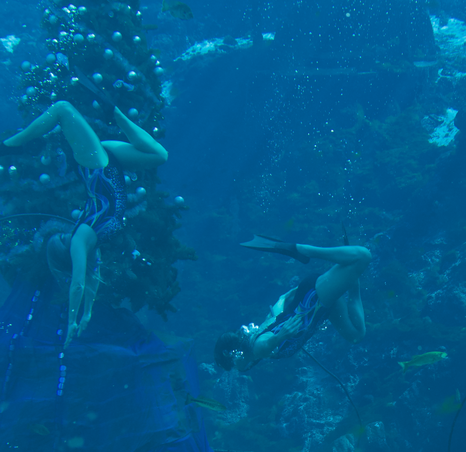 Dive Into Nostalgia at Weeki Wachee Springs, Florida gallery image 2