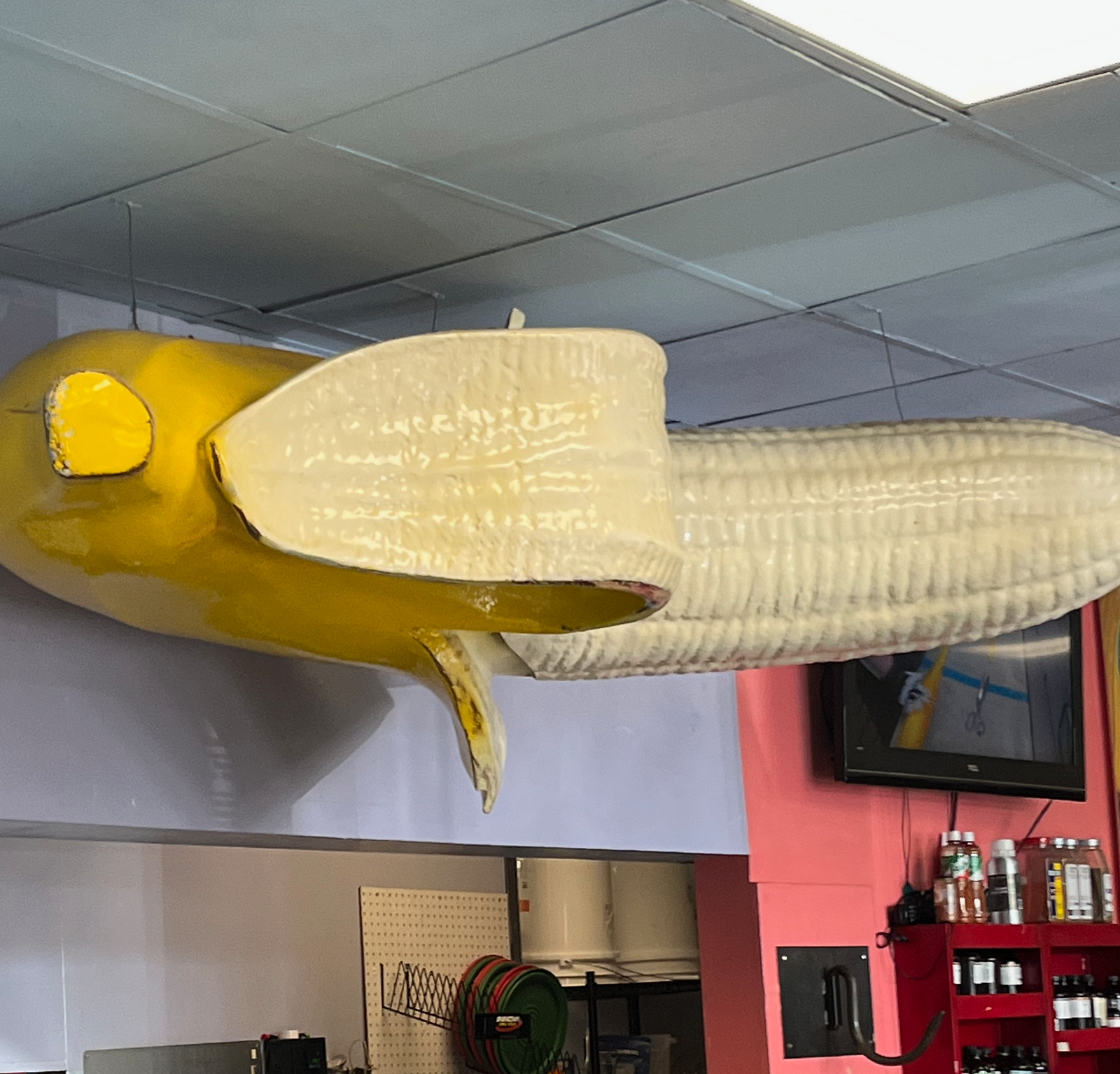 Lofty Pursuits: A Quirky Stop in Tallahassee, FL