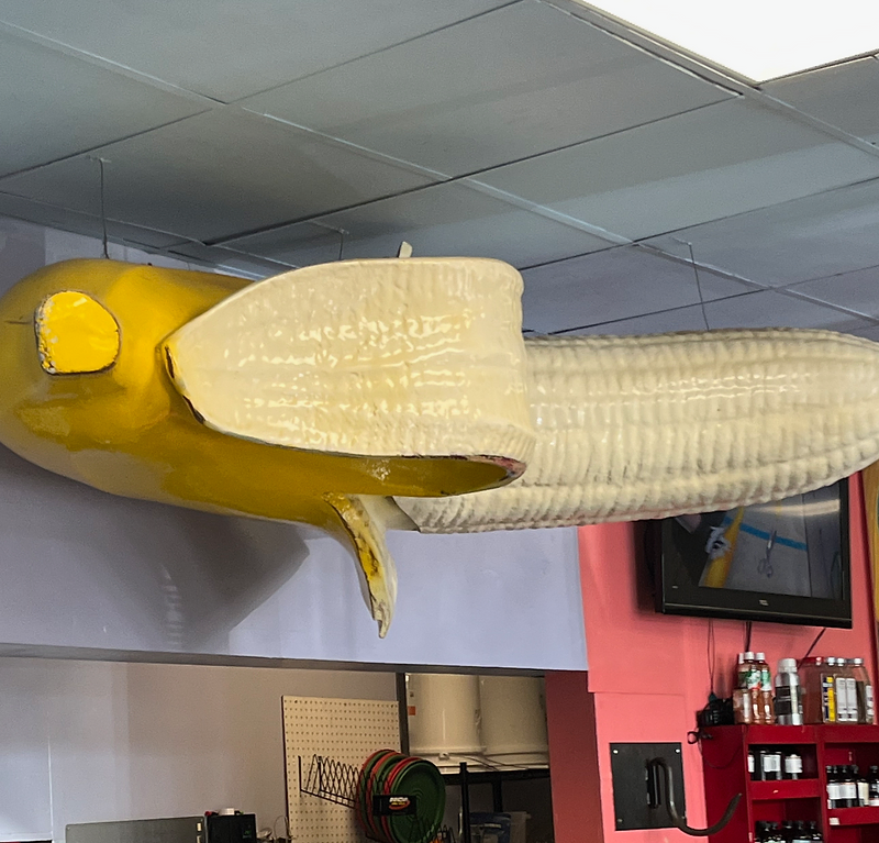 Lofty Pursuits: A Quirky Stop in Tallahassee, FL