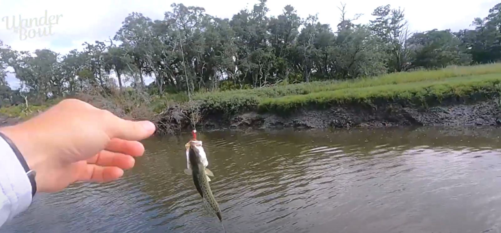 Flounder Fishing on the Bradley River: Tips and Regulations