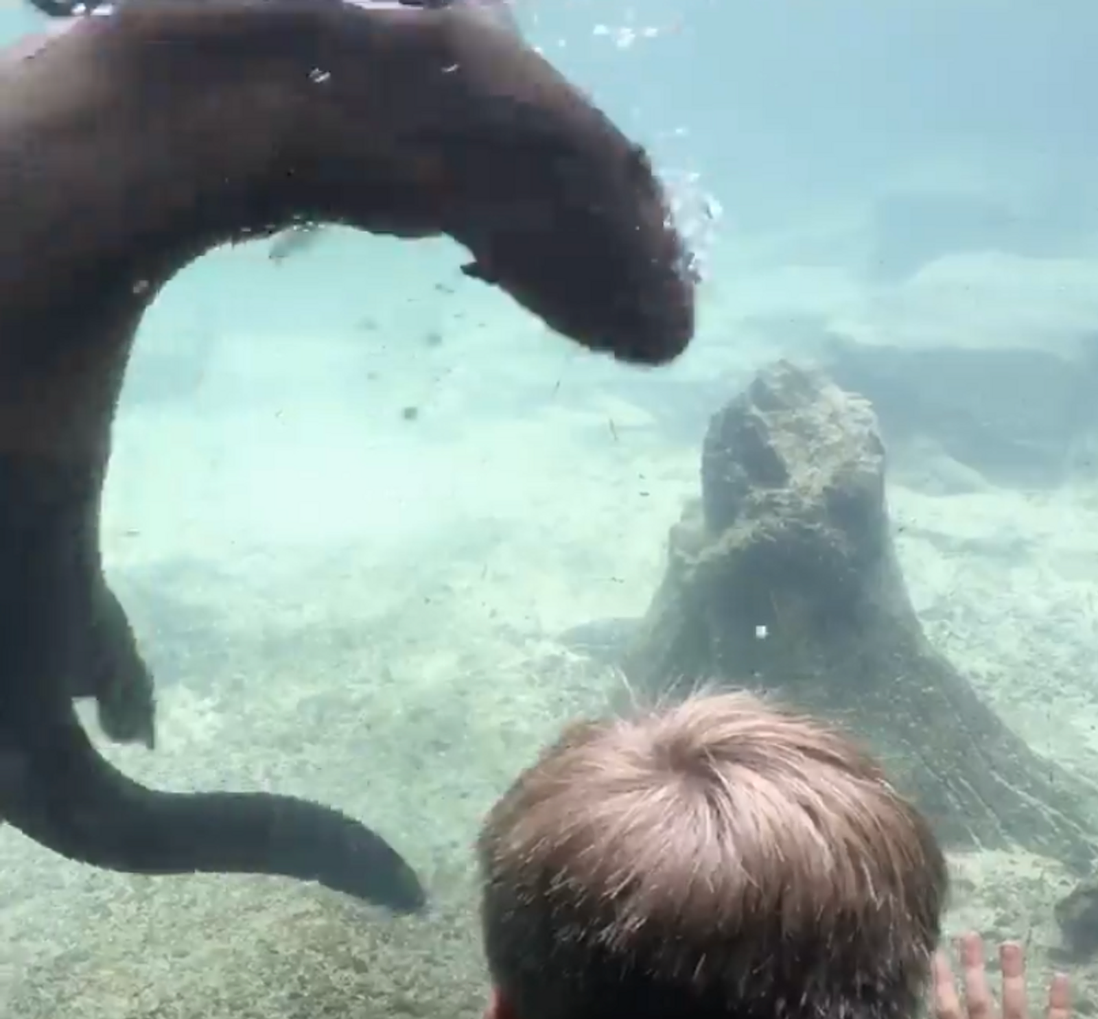 Exploring the Wild Wonders of Zoo Miami: A Family Adventure gallery image 1