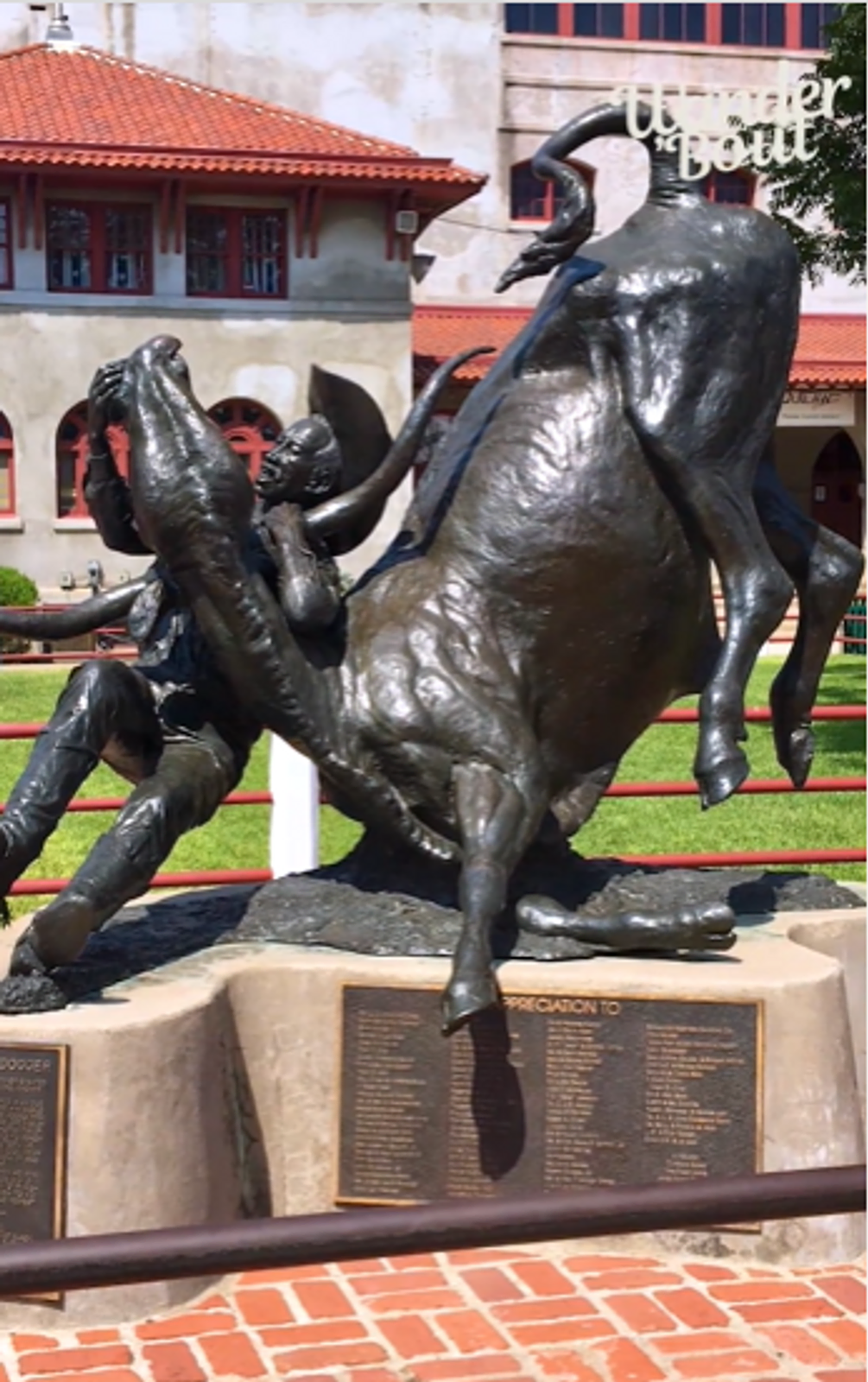 Experience the Fort Worth Cattle Drive: A Slice of the Old West gallery image 2