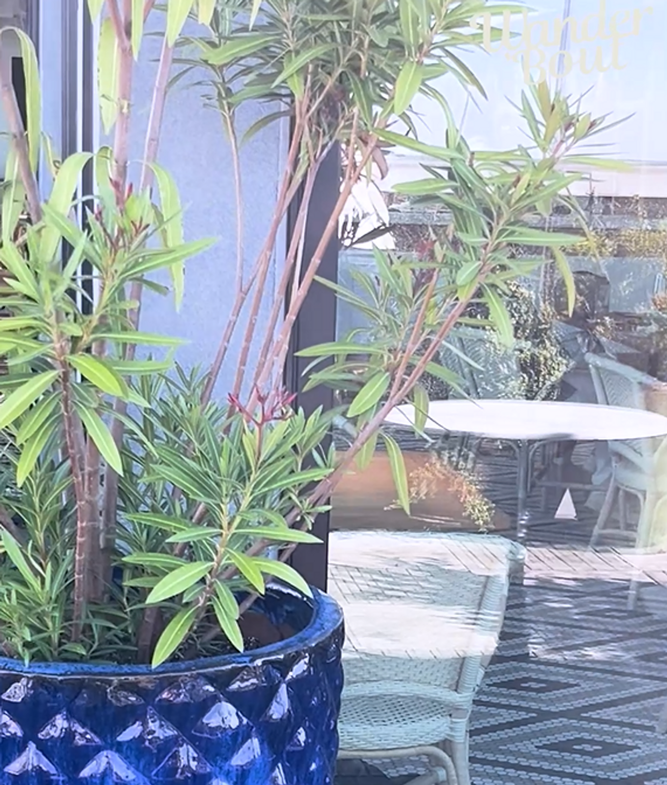 Discover Pendant Terrace Bar: A Rooftop Gem in Savannah gallery image 1