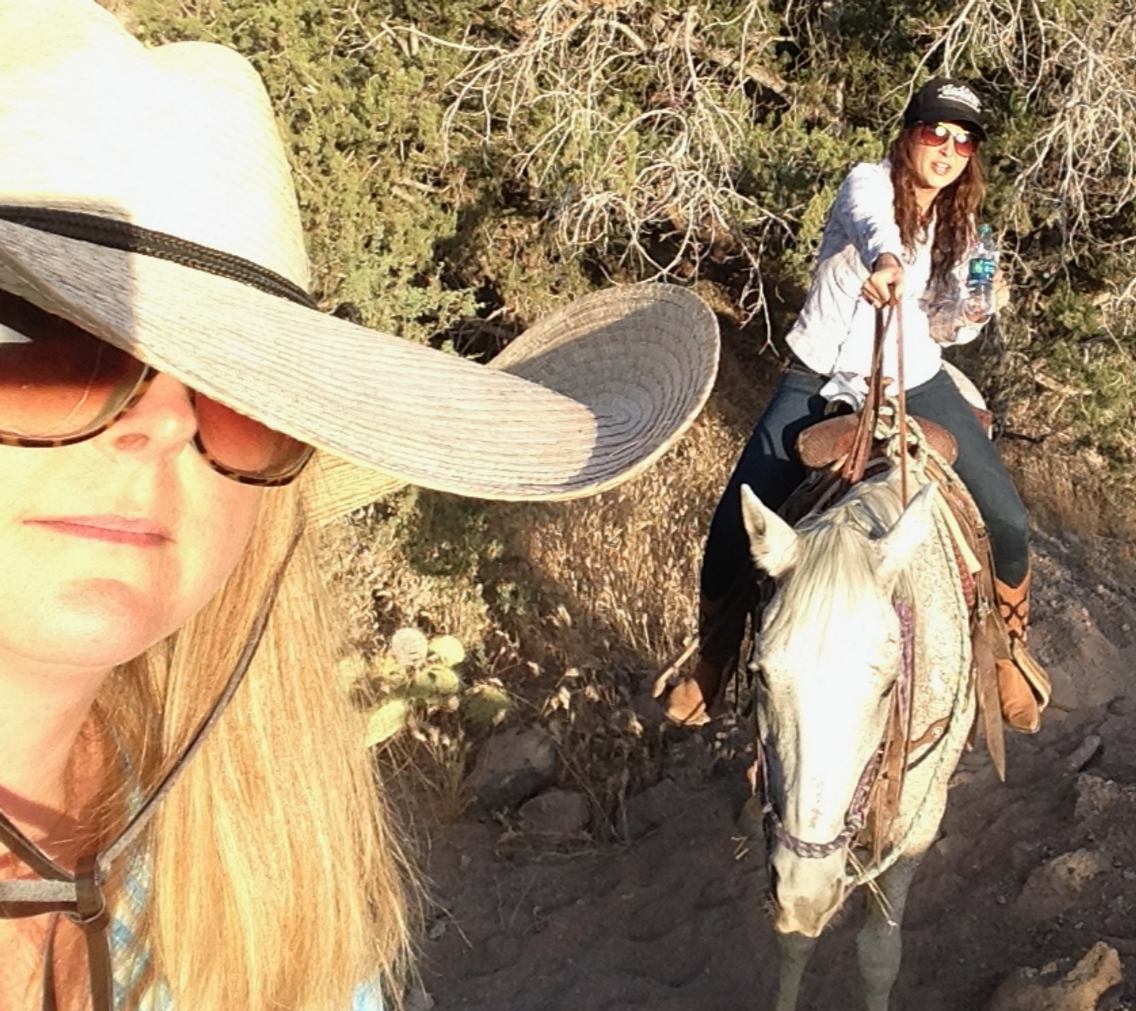 Saddle Up for Scenic Horseback Riding in Cottonwood, Arizona gallery image 1