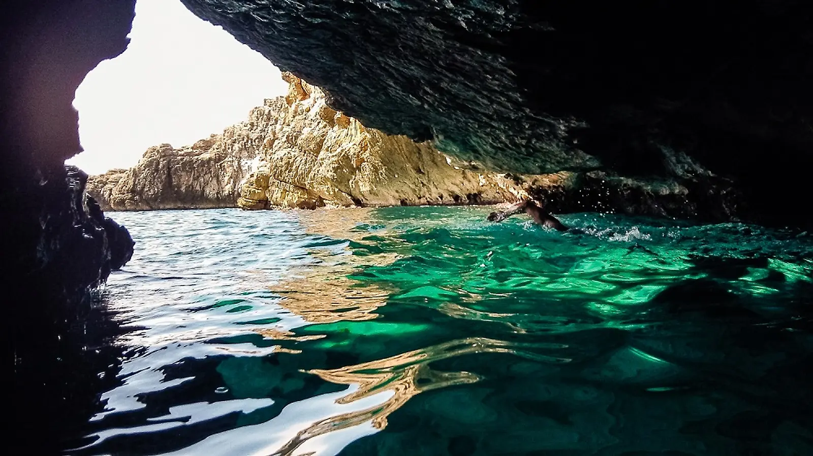 Sea Swim Montenegro Coast — SwimTrek Sea Swim gallery image 2