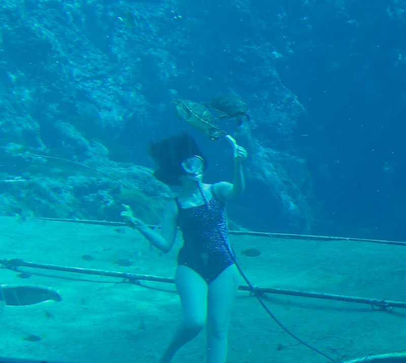 Dive Into Nostalgia at Weeki Wachee Springs, Florida